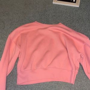 Wild fable cropped sweater